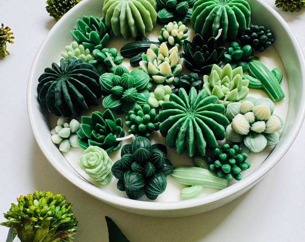 Handmade Cactus Soy Wax Candle: Home & Office Decor, Birthday Gift