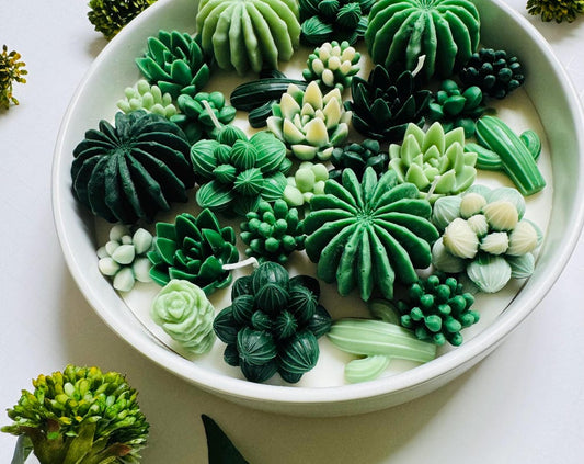 Handmade Cactus Soy Wax Candle: Home & Office Decor, Birthday Gift